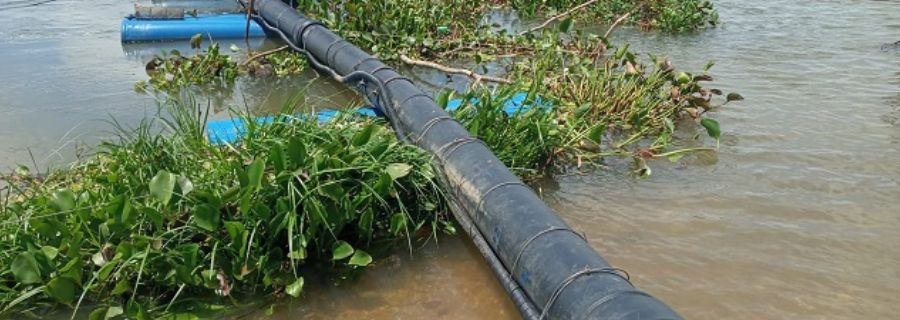 Imagem Casal informa que abastecimento de Piaçabuçu sofre interrupções devido a plantas aquáticas no rio